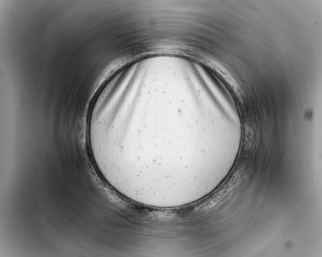 X0000103450994200810031431