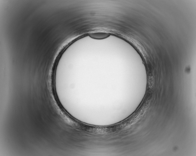 X0000103450995200810031431