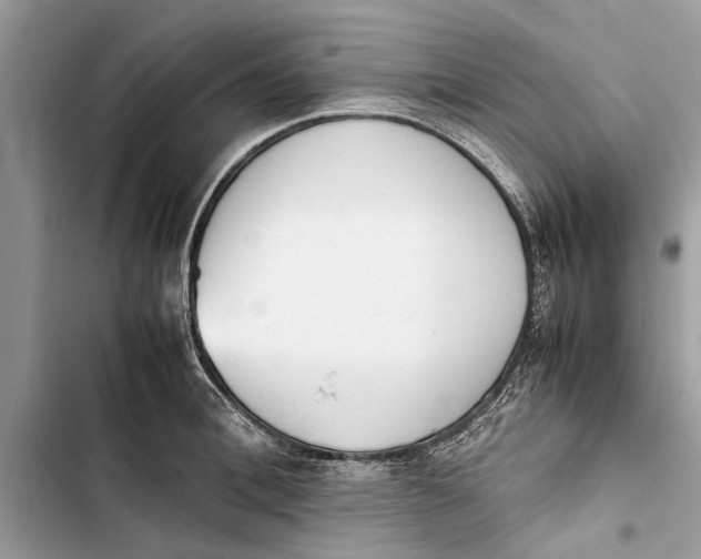 X0000103450996200810031431