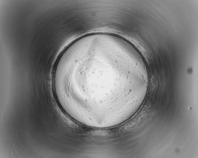 X0000103450998200810031431