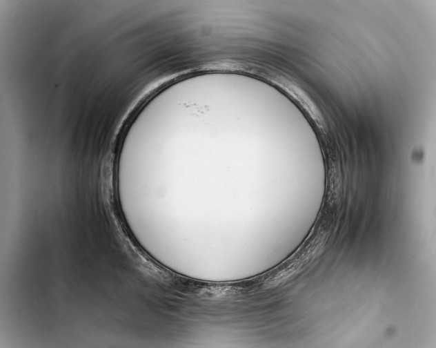 X0000103451000200810031431