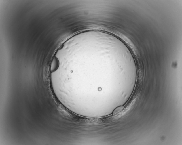 X0000103451001200810031431