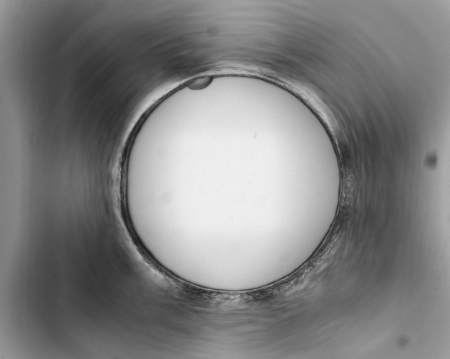 X0000103451003200810031431