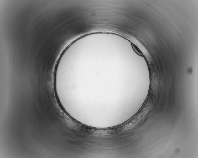 X0000103451004200810031431