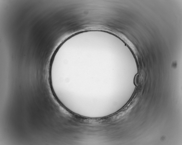 X0000103451005200810031431