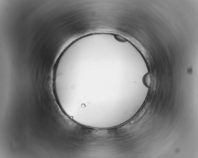 X0000103451006200810031431