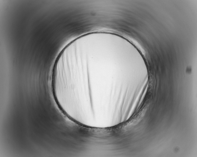 X0000103451007200810031431