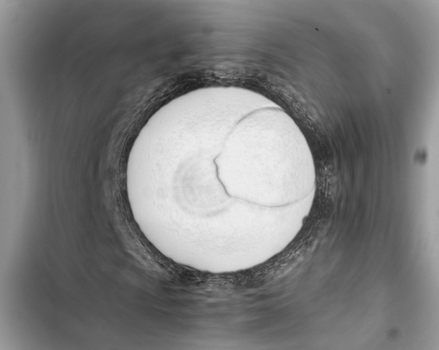 X0000103451009200810031430