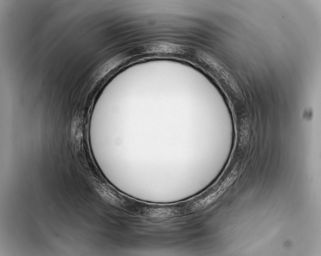 X0000103451017200810031431