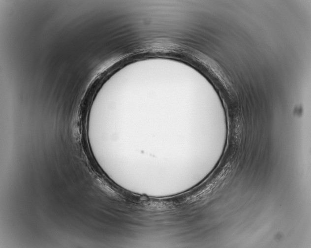 X0000103451018200810031431