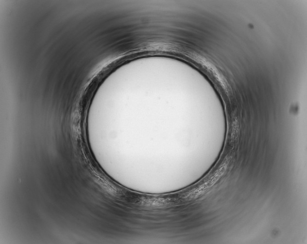 X0000103451019200810031431