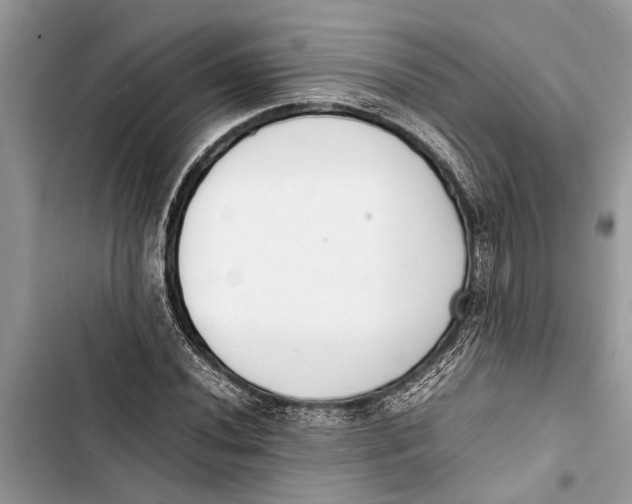 X0000103451020200810031431