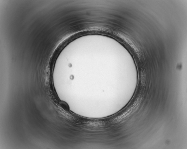 X0000103451021200810031431