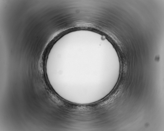 X0000103451022200810031431