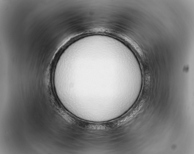 X0000103451023200810031431