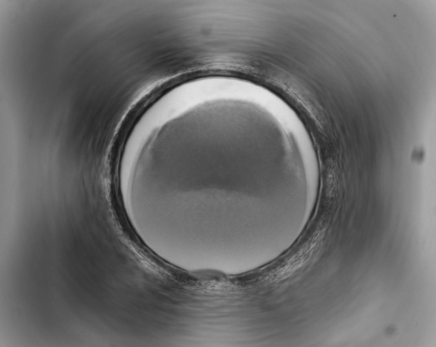 X0000103451024200810031431