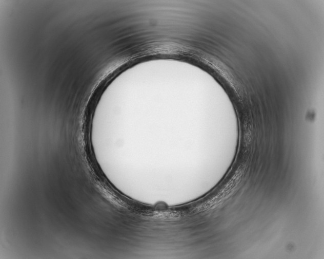 X0000103451026200810031431