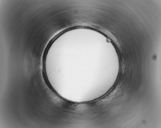 X0000103451028200810031431