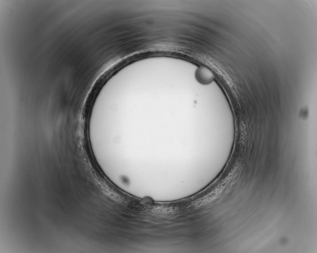 X0000103451029200810031431