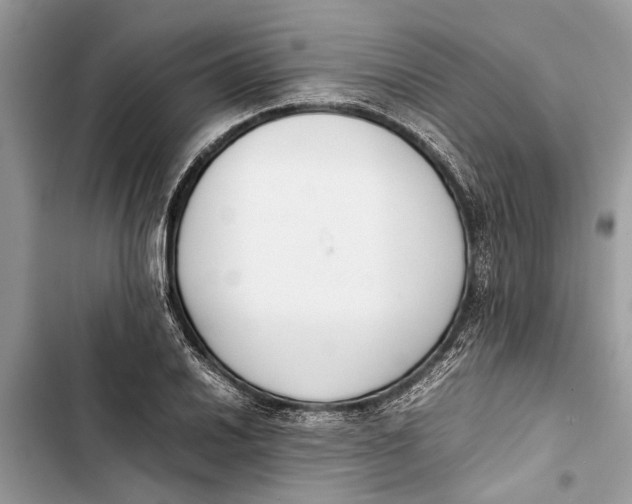 X0000103451030200810031431