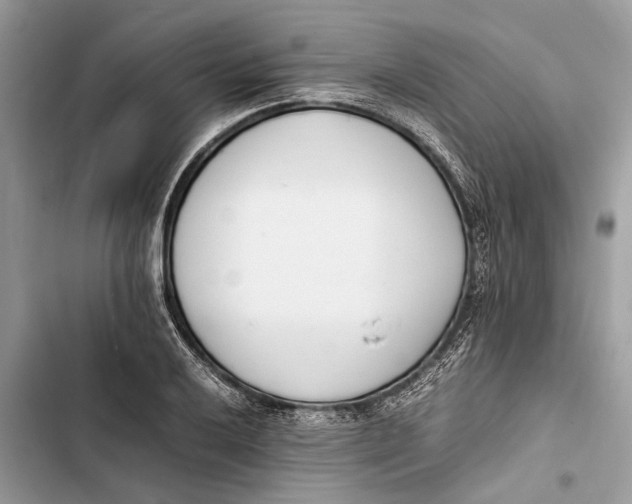 X0000103451032200810031431