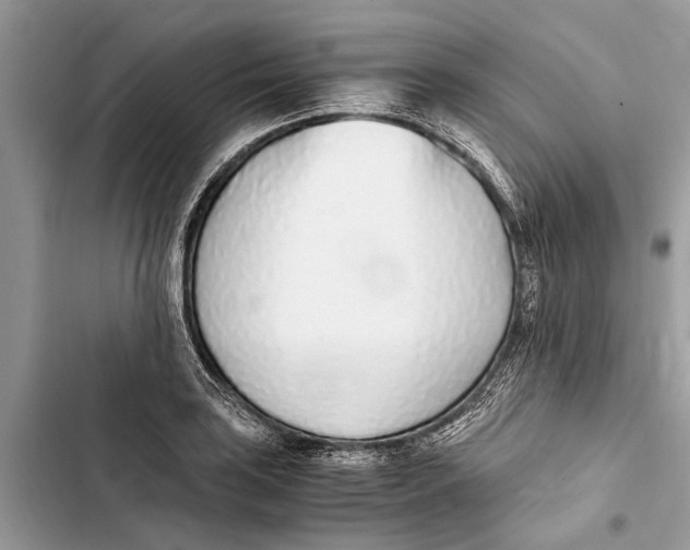 X0000103451035200810031431