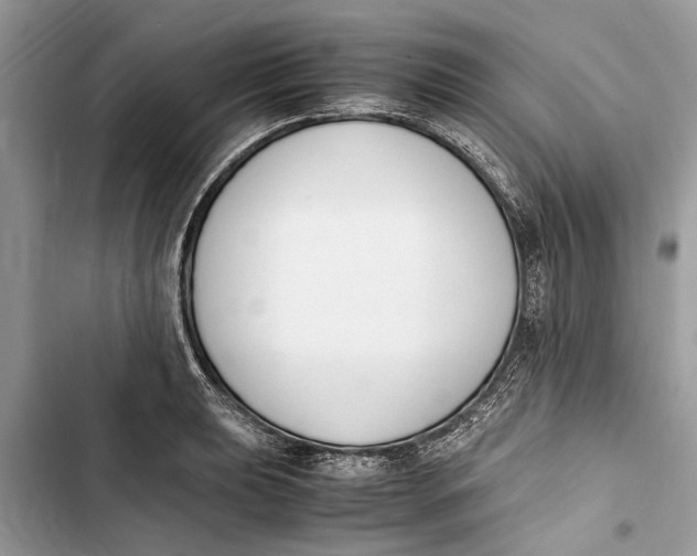 X0000103451039200810031431