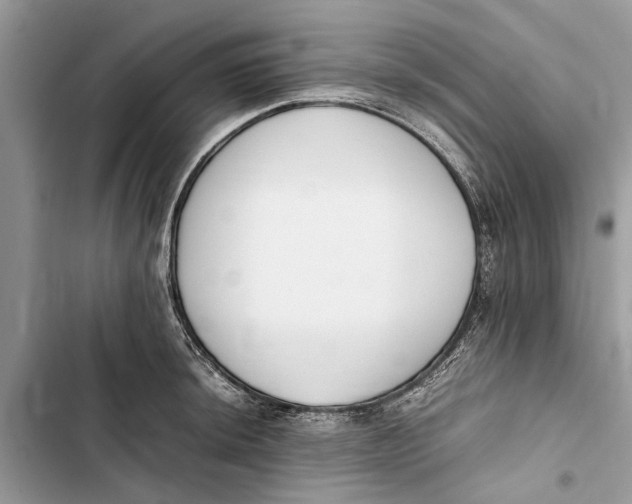 X0000103451044200810031431