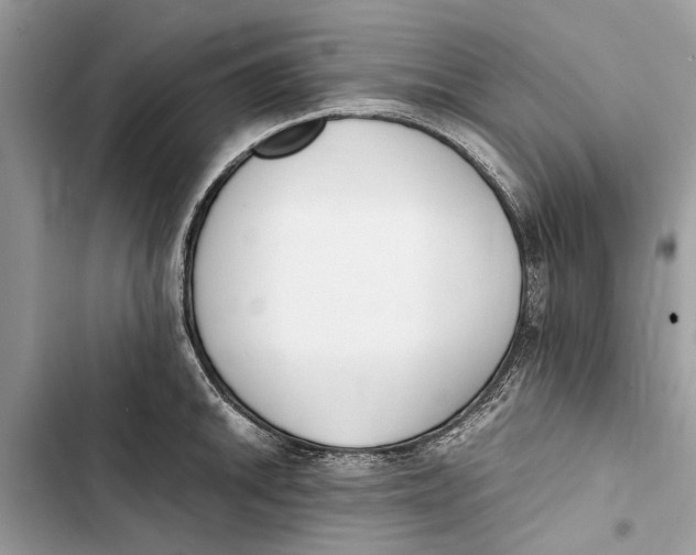 X0000103451046200810031431