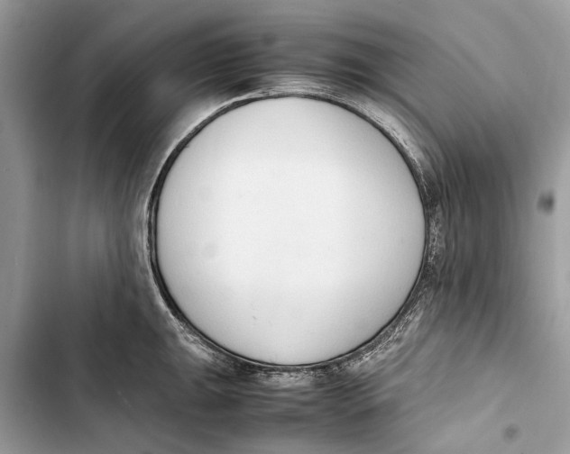 X0000103451047200810031431