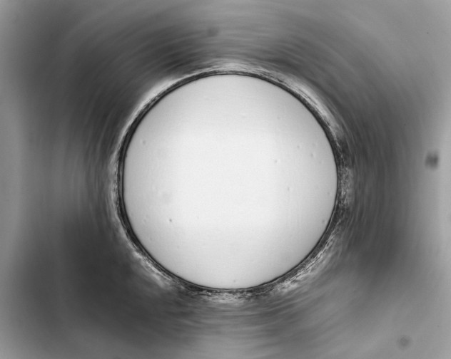 X0000103451048200810031431