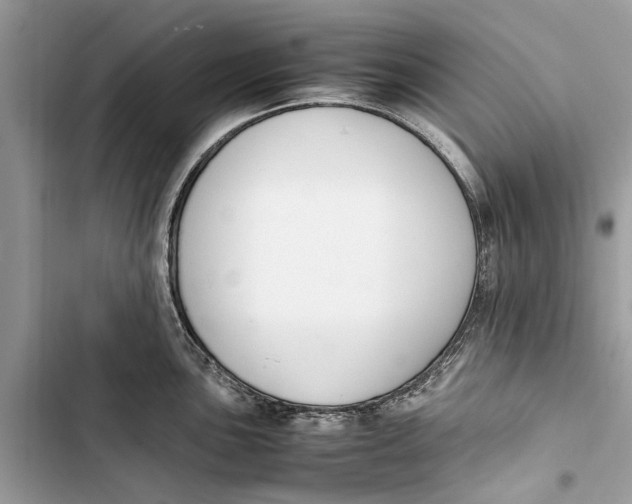 X0000103451051200810031431