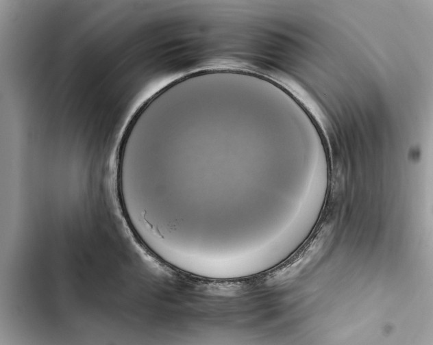 X0000103451053200810031431