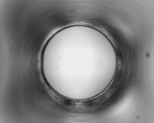 X0000103451054200810031431