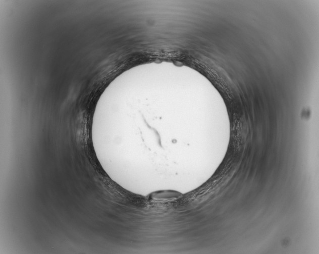 X0000103451058200810031430