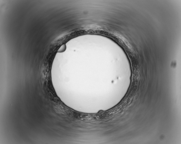 X0000103451063200810031430