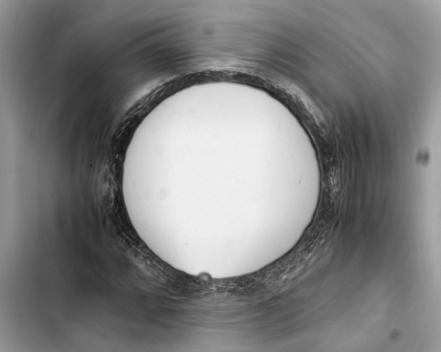 X0000103451064200810031430