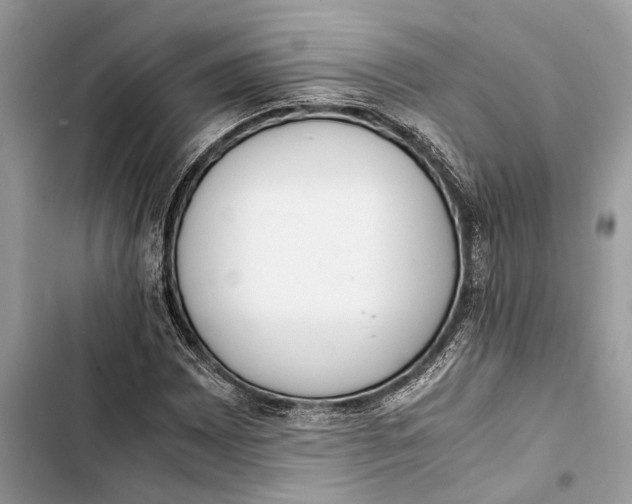 X0000103451065200810031430