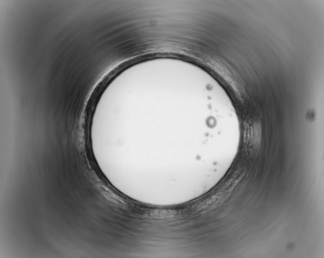 X0000103451068200810031430