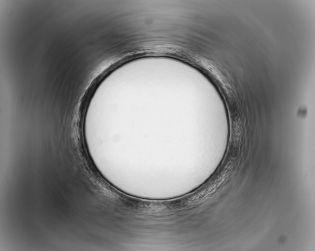 X0000103451071200810031430