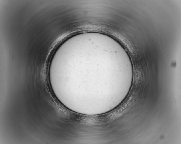 X0000103451074200810031430