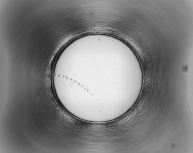 X0000103451075200810031430