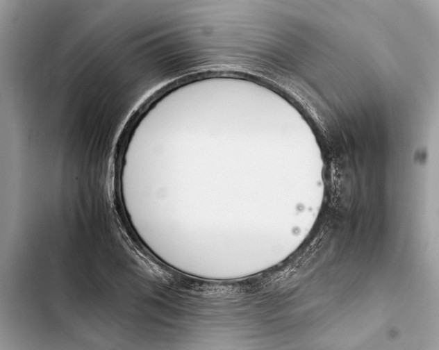 X0000103451076200810031430