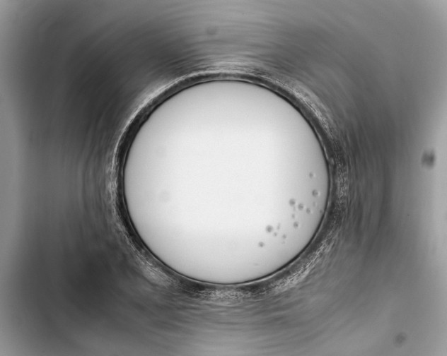 X0000103451077200810031430