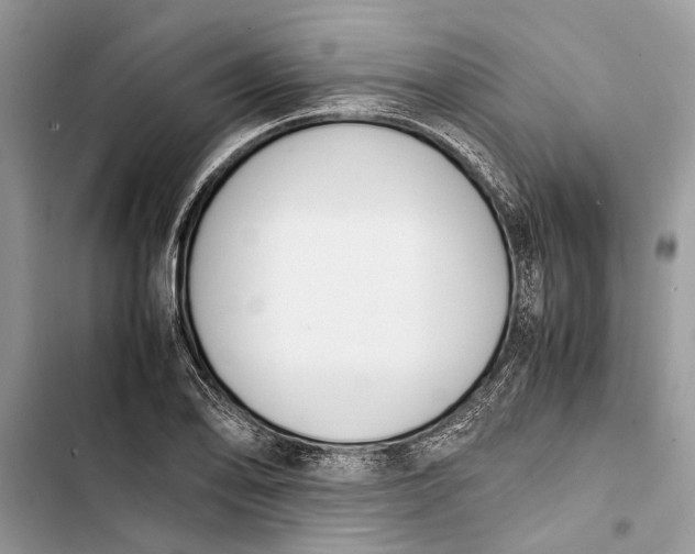 X0000103451078200810031430