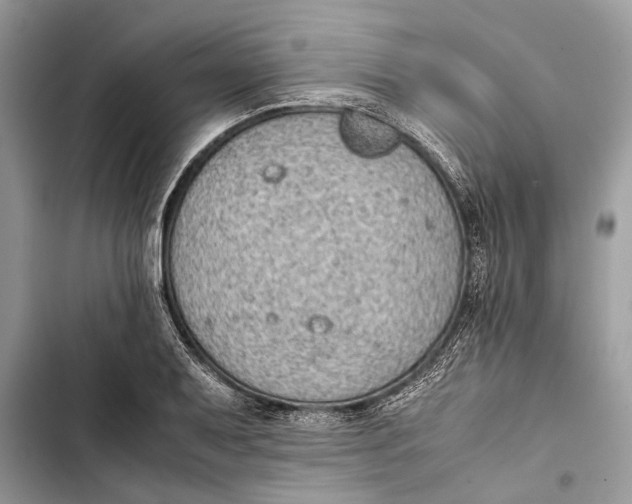 X0000103451079200810031430