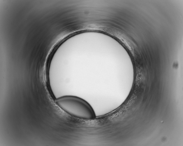 X0000103451080200810031430