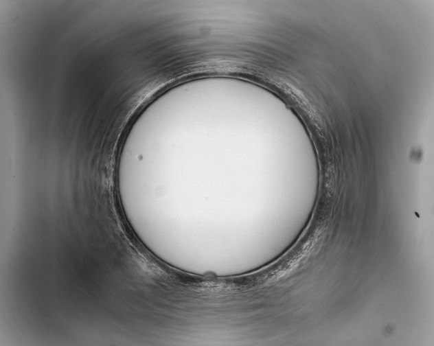 X0000103451081200810031430