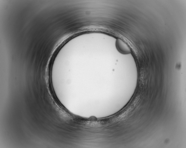 X0000103451082200810031430