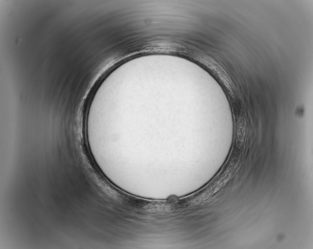 X0000103451083200810031430